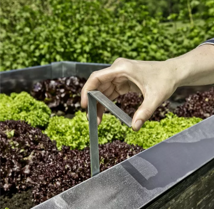 Schnecken-Zaun Bef.Klammer