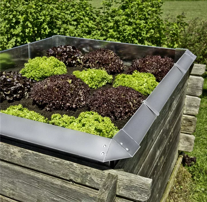 Schnecken-Zaun Element verzweigt