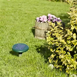 Wühlmaus-Vertreiber Solar 4 Star