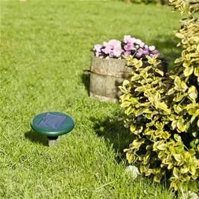 Wühlmaus-Vertreiber Solar 4 Star