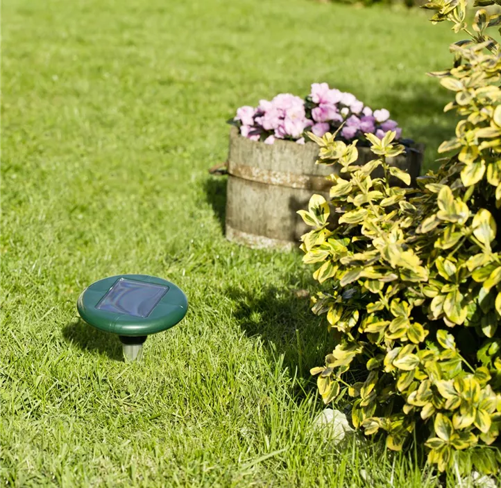 Wühlmaus-Vertreiber Solar