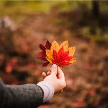 Gemütliche Momente Zuhause - DIY Windlicht