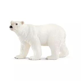 Eisbär