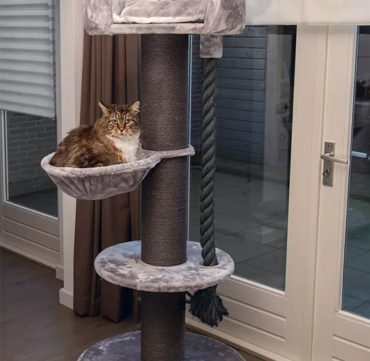 BZ Kratzbaum HAVILO 170