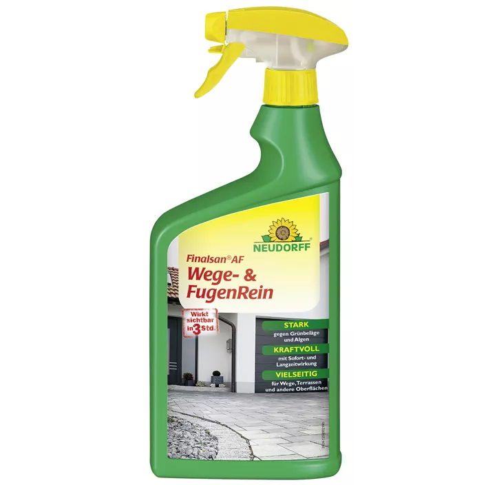 Finalsan AF Wege- und FugenRein