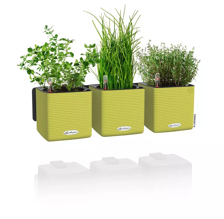 Cube Color Komplettset