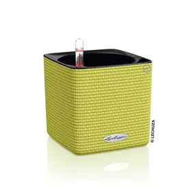 Cube Color Komplettset