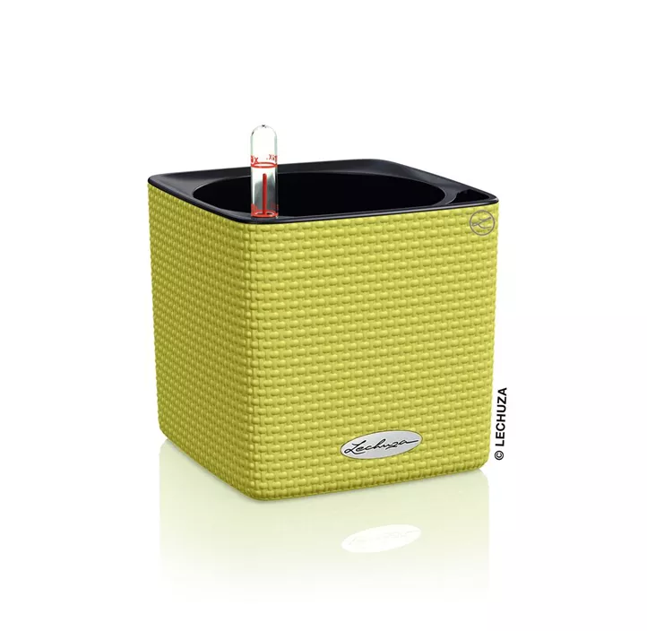 Cube Color Komplettset