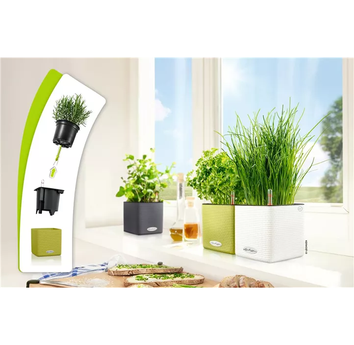 Cube Color Komplettset