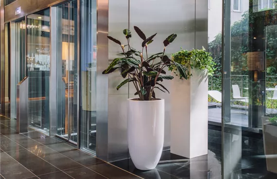 Bild von einem Eingangsbereich mit Pflanzen in spektakulären Pflanzengefäßen