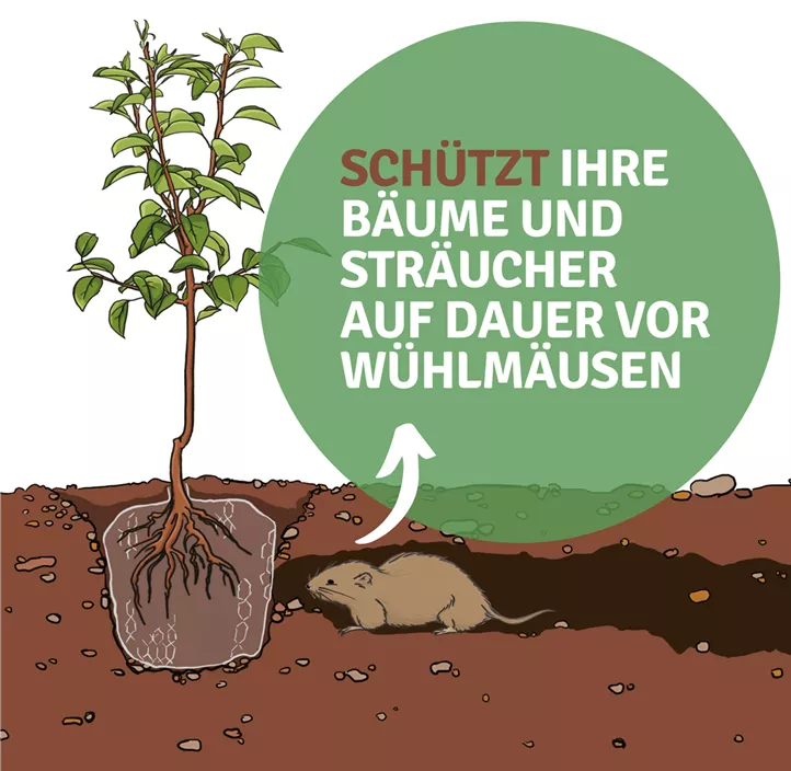 Wühlmauskorb aus Drahtgeflecht