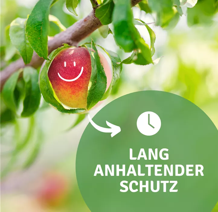 Wühlmauskorb aus Drahtgeflecht