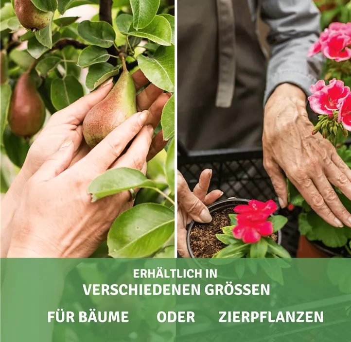 Wühlmauskorb aus Drahtgeflecht