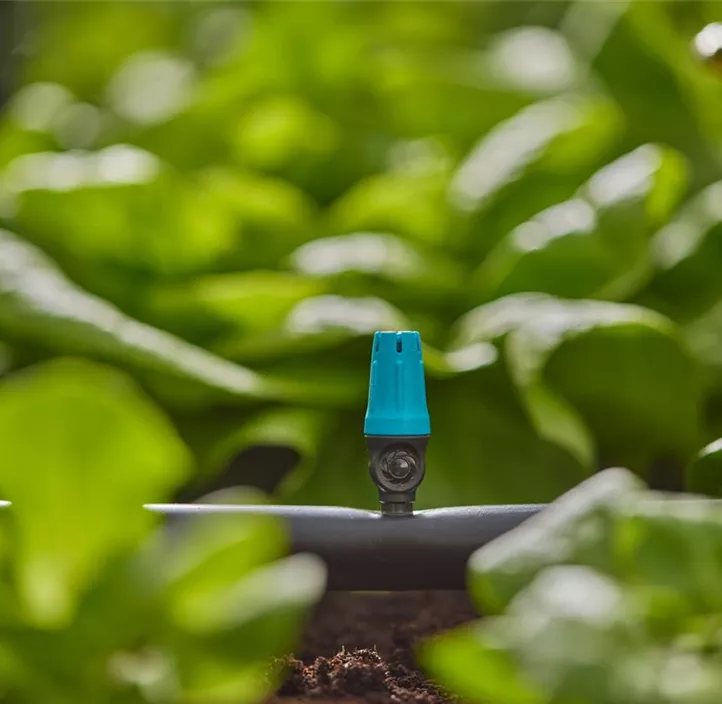 Micro-Drip-System Endkleinflächendüse, 10er-Packung