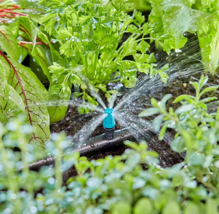 Micro-Drip-System Endkleinflächendüse, 10er-Packung