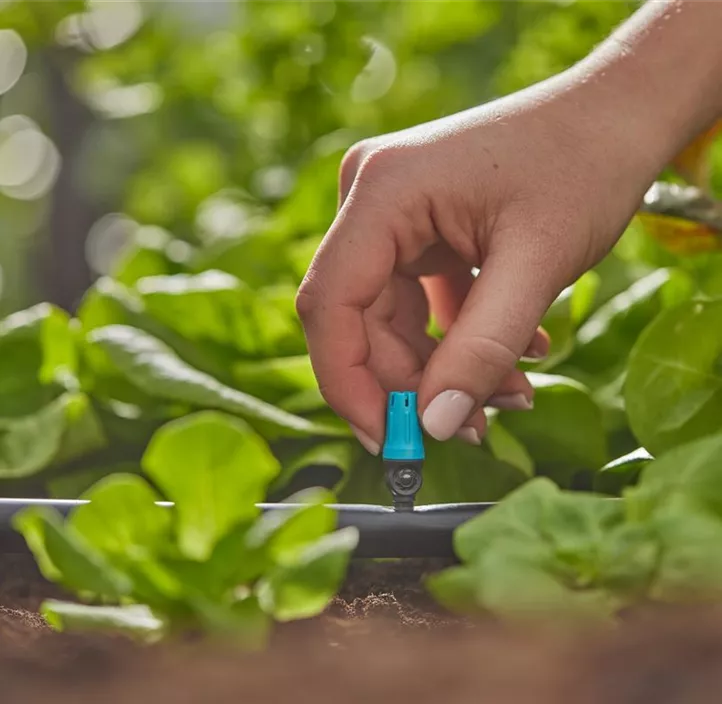 Micro-Drip-System Endkleinflächendüse, 10er-Packung