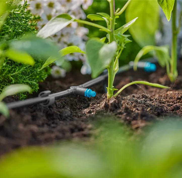 Micro-Drip-System Reihentropfer 2l/h, 10er-Packung