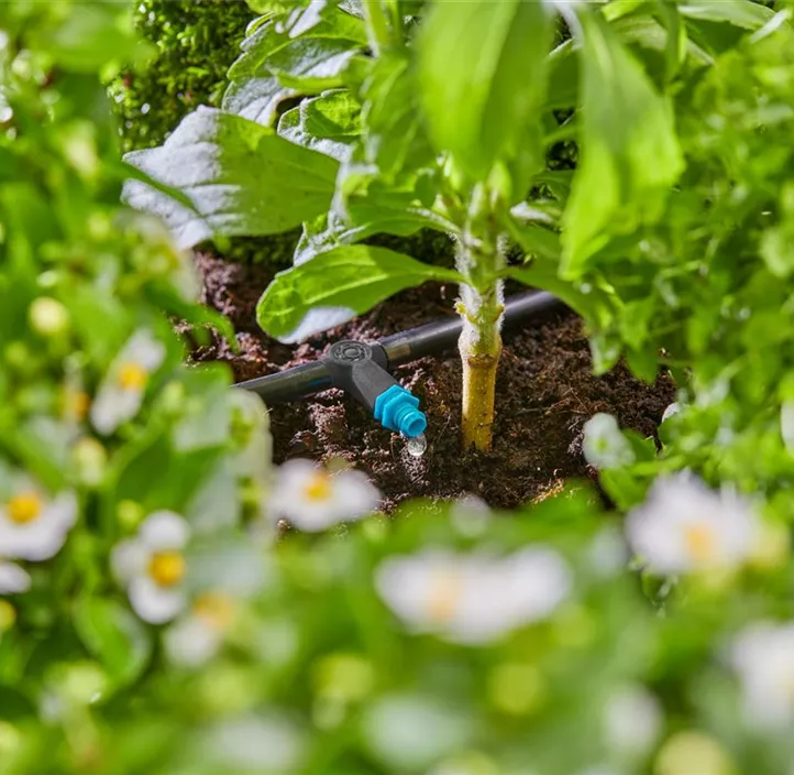 Micro-Drip-System Reihentropfer 2l/h, 10er-Packung