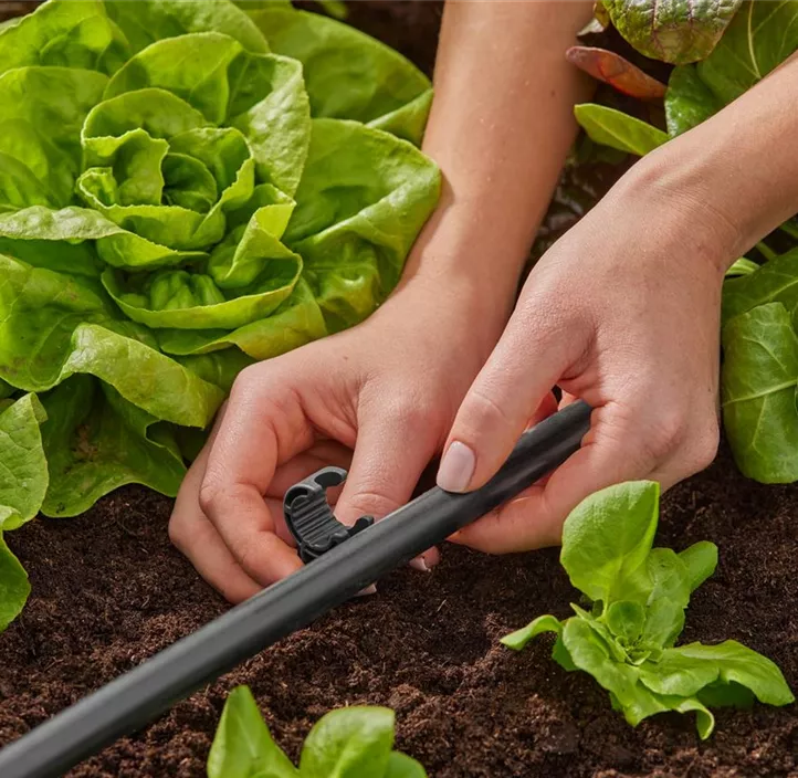 Micro-Drip-System Rohrhalter 1/2, 10er-Packung