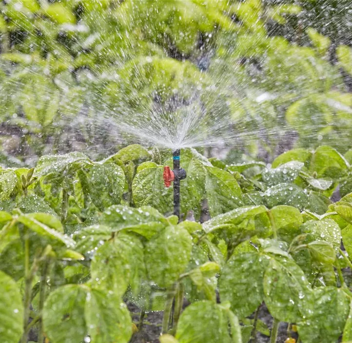 Micro-Drip-System Sprühdüse 360 Grad, 5er-Packung