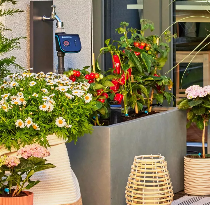 Micro-Drip-System Terrasse