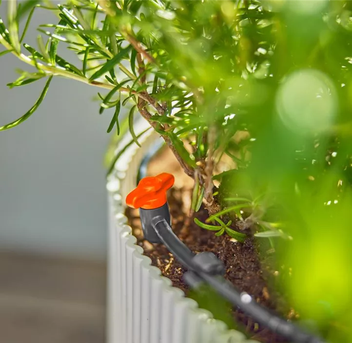 Micro-Drip-System Tropfbewässerung Set Balkon