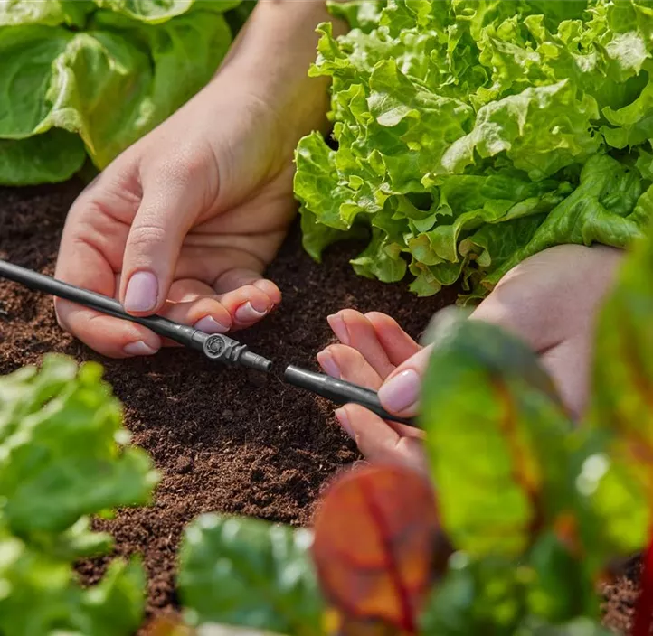 Micro-Drip-System Verbinder 4,6mm 3/16, 10er-Packung