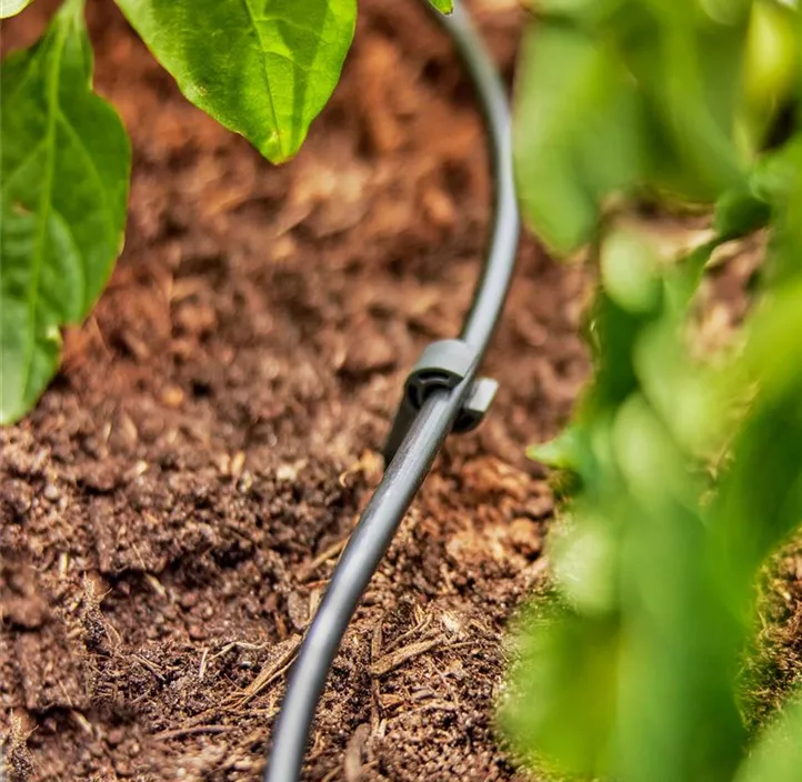 Micro-Drip-System Verteilerrohr 4,6 mm 3/16