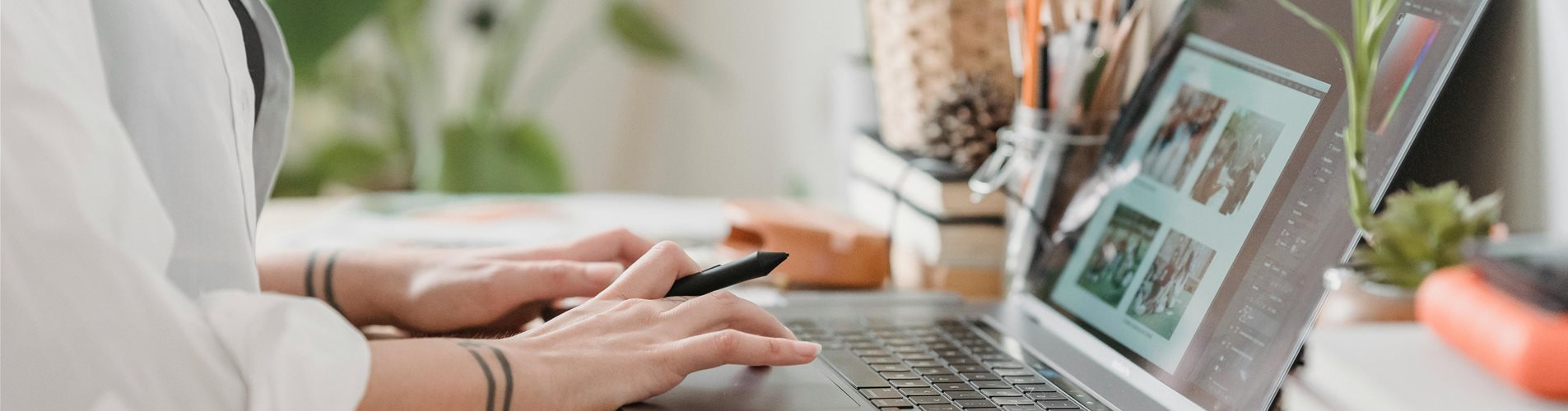 registrierung-hand-laptop-pflanzen registrierung-hand-laptop-pflanzen