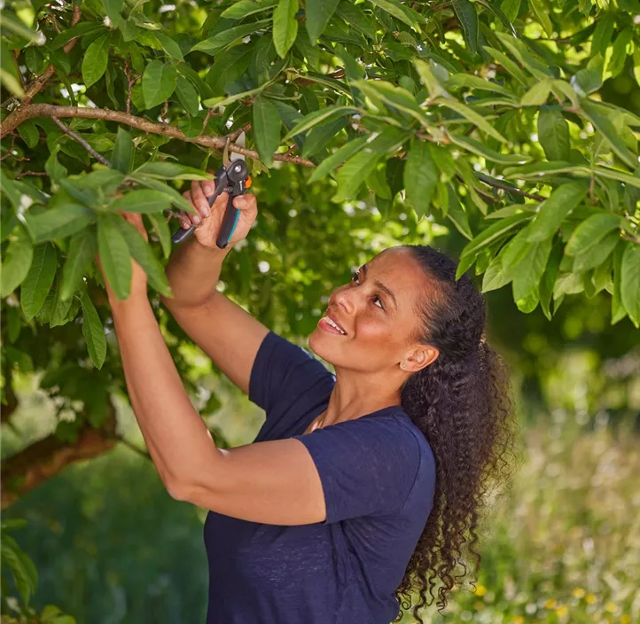 Gartenschere PremiumCut Frisches Holz