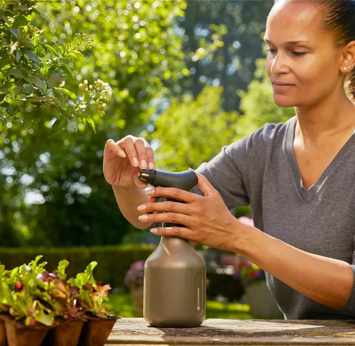 Pumpsprüher 0,75 L Aktion