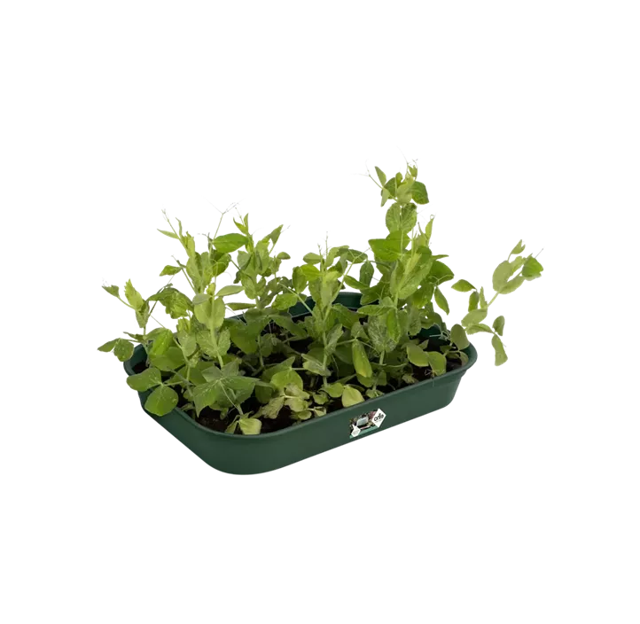 UV-beständig, 100 % Recyclingmaterial