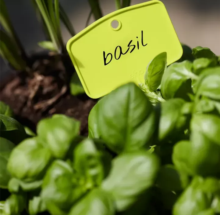 Green Basics Pflanzschild