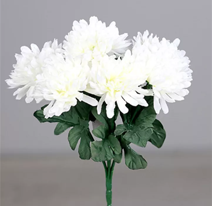 Chrysanthemen Busch mit sieben Blüten