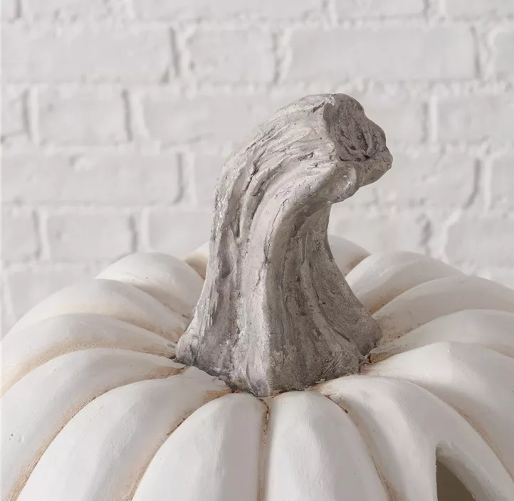 Dekokürbis Baldomero