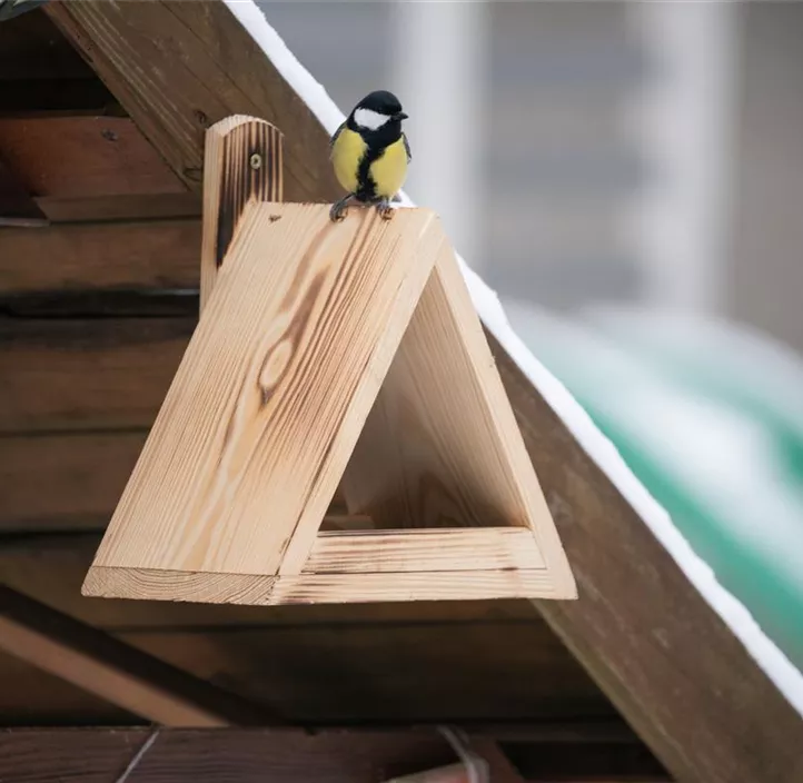 Dreieckiges Vogelfutterhaus