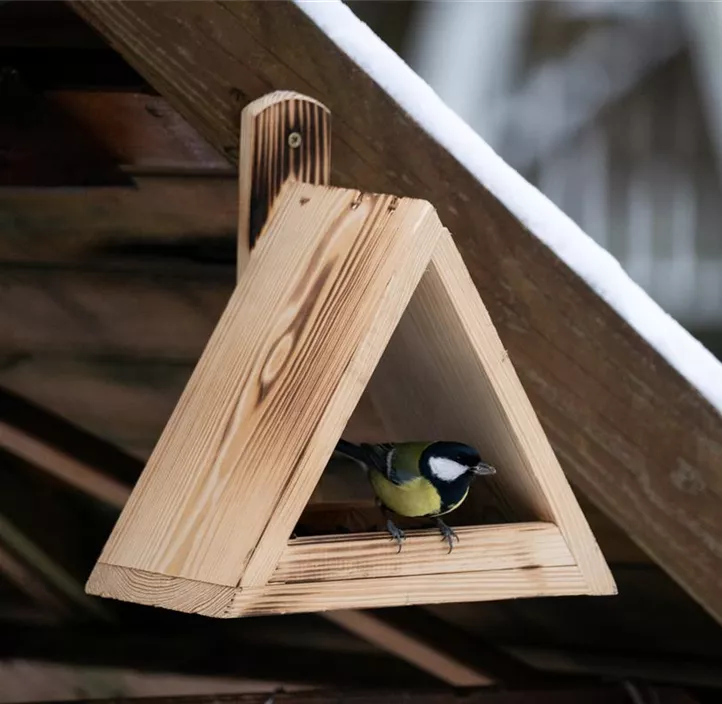 Dreieckiges Vogelfutterhaus
