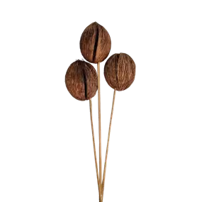 Minolta Ball klein mit Stiel 3er Pkg