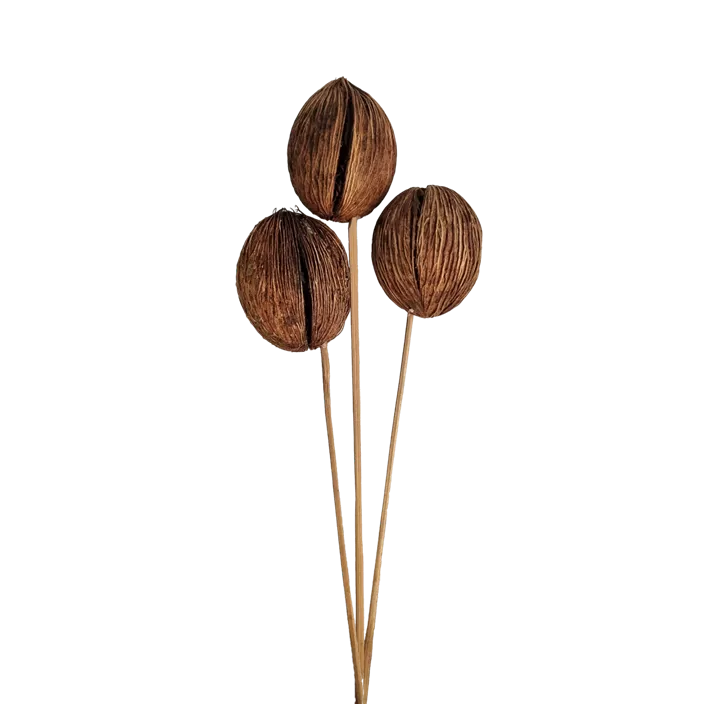 Minolta Ball klein mit Stiel 3er Pkg