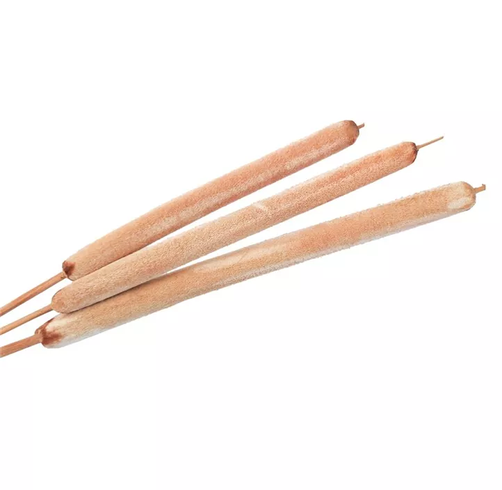 Schilfkolben G 10er Pkg