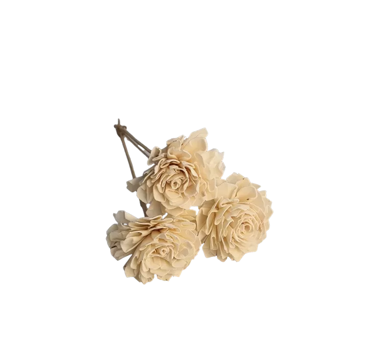 Shola Dalia mit Draht 3er Pkg.