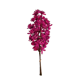 Shola Deco Fan 3er Pkg.