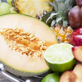 Cucumis melo Magnificenza