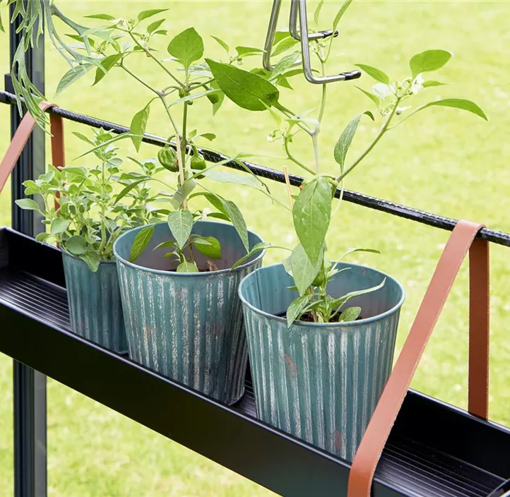 abnehmbar, 2 Sektionen, 76 x 15 x 5 cm