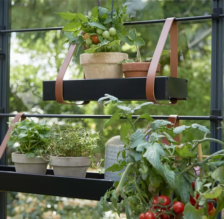 abnehmbar, 1 Sektion, 36x 15 x 5 cm