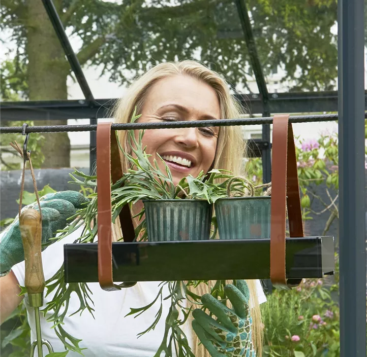 abnehmbar, 1 Sektion, 36x 15 x 5 cm