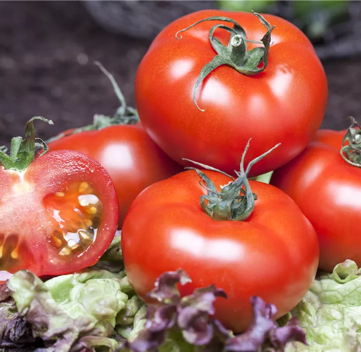 Tomate