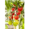 bellaflora Gartencenter GmbH