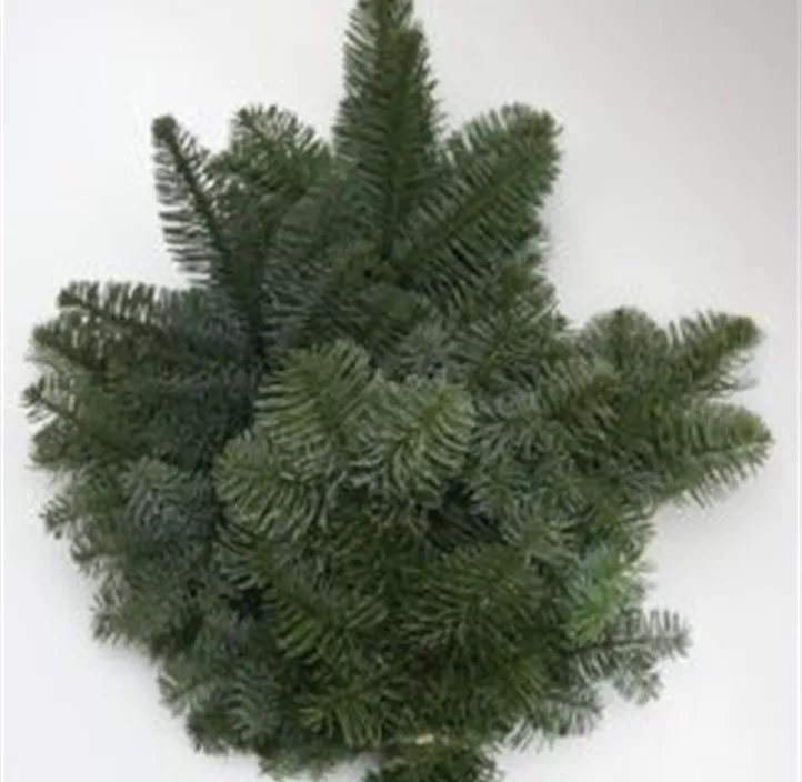 Nordmanntannen Reisig, 10kg