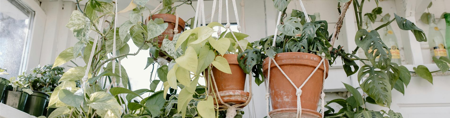 pexels-tara-winstead-7663960-0-0-6720-4480 pexels-tara-winstead-7663960-0-0-6720-4480